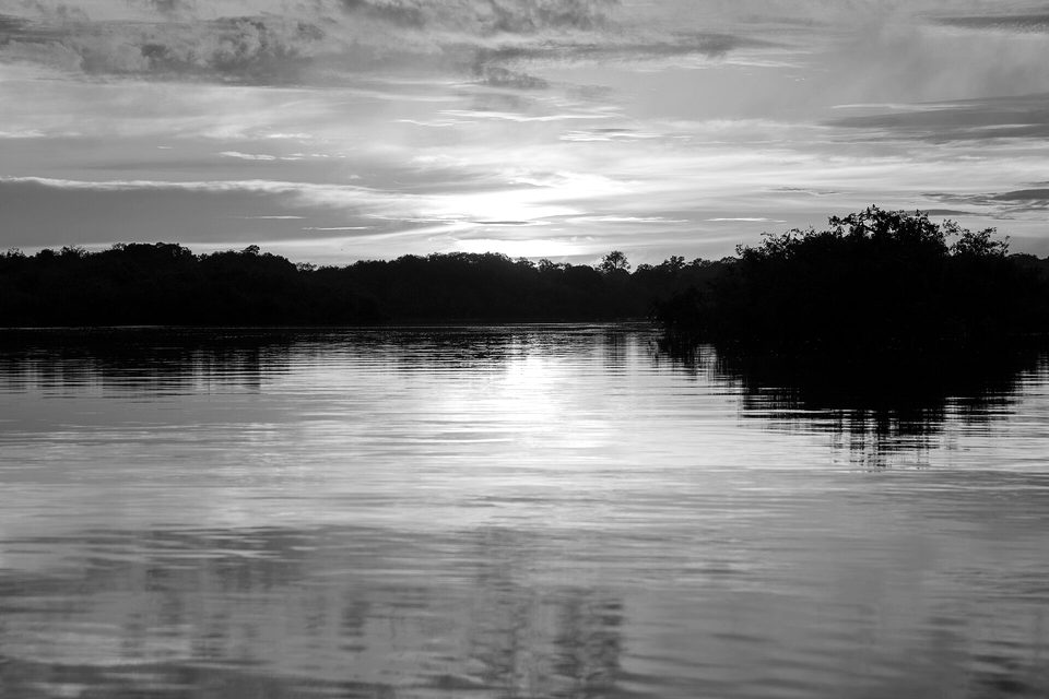 Sunset at Amazon rainforest, Brazil - 2026 21